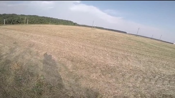 Mostohahúgocskámmal titokban a rétek kefélünk Thumb