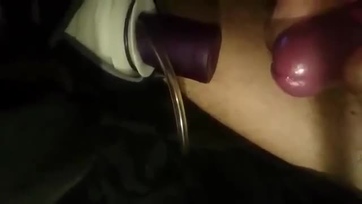 Bigbill Thumb