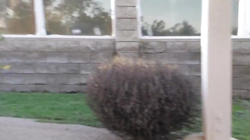 Levette a szűk leggings-ét és megugrálta a nagy fütyköst a cicus Thumb