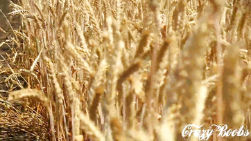 Csábos milf méretes természetes cickókkal szopja a hapsi faszát a szabad ég alatt Thumb