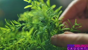 Minek élvezkedjek ha meg is dugathatom a kis megborotvált muffocskámat a mostoha bratyómmal Thumb